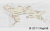 Shaded Relief Panoramic Map of Central, lighten, desaturated