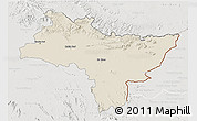 Shaded Relief 3D Map of Prachin Buri, lighten, semi-desaturated