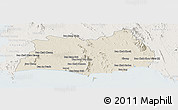 Shaded Relief Panoramic Map of Rayong, lighten