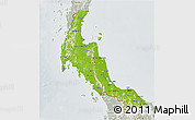 Physical 3D Map of Southern, lighten, semi-desaturated