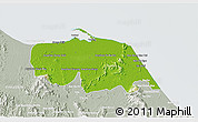 Physical 3D Map of Pattani, lighten, semi-desaturated