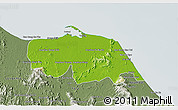 Physical 3D Map of Pattani, semi-desaturated