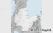 Gray 3D Map of Surat Thani