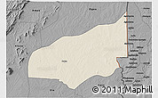 Shaded Relief 3D Map of Haho, darken, desaturated