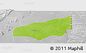 Physical Panoramic Map of Haho, lighten, desaturated