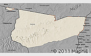 Shaded Relief 3D Map of Tone, darken, desaturated