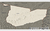 Shaded Relief 3D Map of Tone, darken