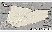 Shaded Relief 3D Map of Tone, darken, semi-desaturated