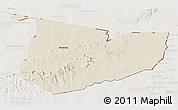 Shaded Relief 3D Map of Tone, lighten