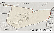 Shaded Relief 3D Map of Tone, semi-desaturated