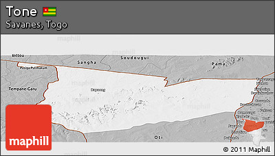 Gray Panoramic Map of Tone