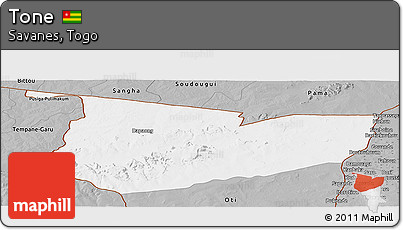 Gray Panoramic Map of Tone