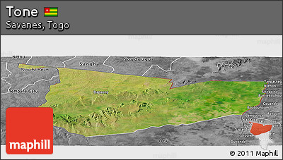 Satellite Panoramic Map of Tone, desaturated