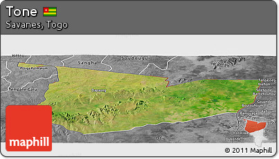 Satellite Panoramic Map of Tone, desaturated