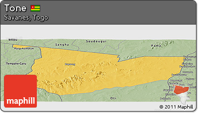 Savanna Style Panoramic Map of Tone