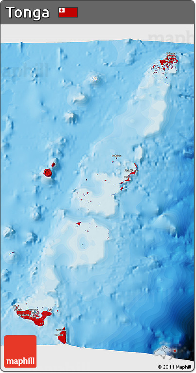 Flag 3D Map of Tonga, single color outside, bathymetry sea, shaded relief sea, flag aligned to the middle