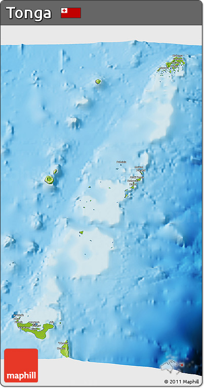 Physical 3D Map of Tonga, desaturated, land only