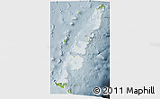 Physical 3D Map of Tonga, semi-desaturated