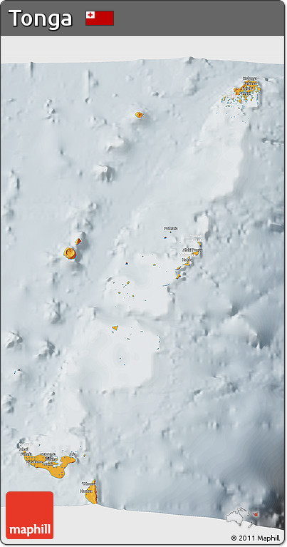 Political 3D Map of Tonga, lighten, semi-desaturated
