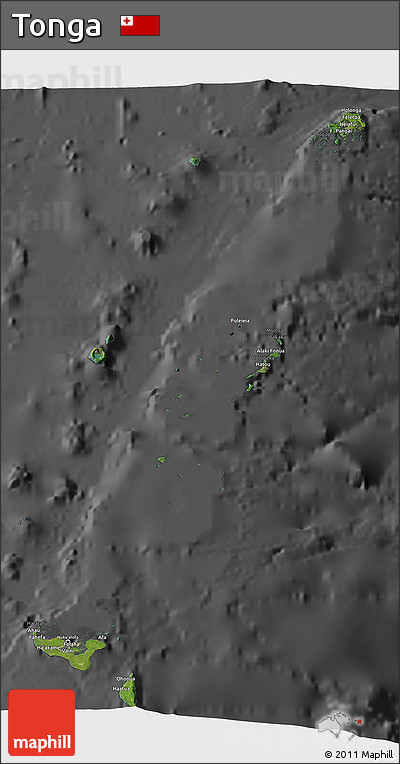 Satellite 3D Map of Tonga, darken, desaturated