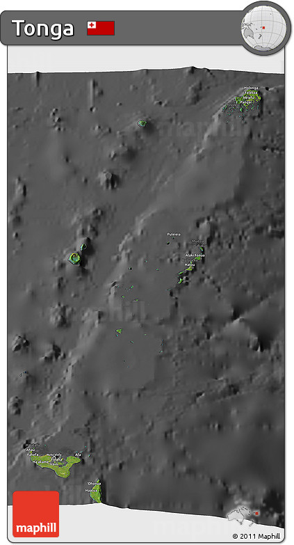 Satellite 3D Map of Tonga, darken, desaturated