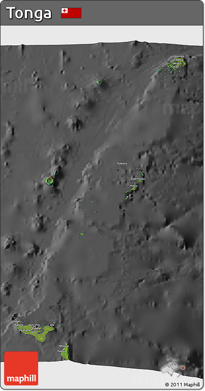 Satellite 3D Map of Tonga, darken, desaturated