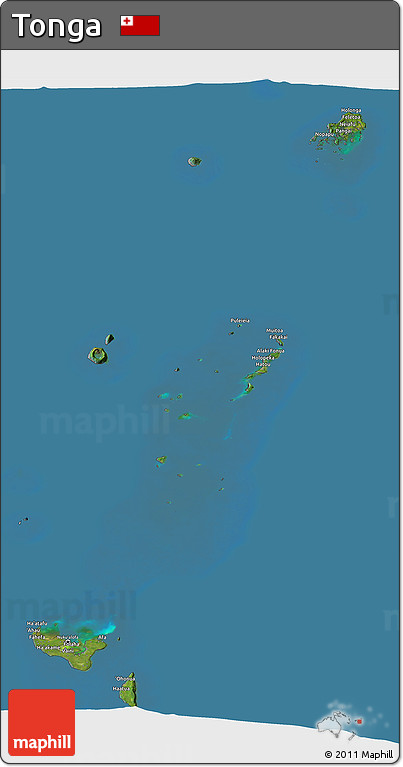 Satellite 3D Map of Tonga, desaturated, land only