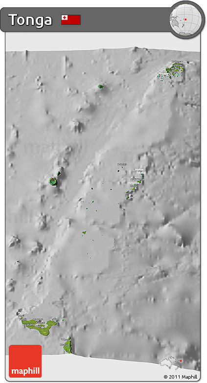 Satellite 3D Map of Tonga, lighten, desaturated