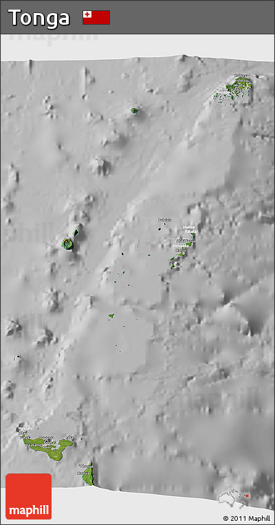 Satellite 3D Map of Tonga, lighten, desaturated