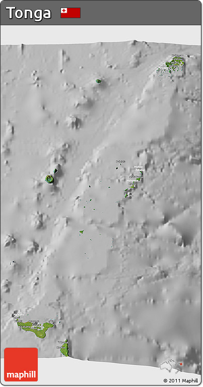 Satellite 3D Map of Tonga, lighten, desaturated