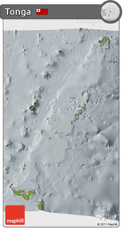 Satellite 3D Map of Tonga, lighten, semi-desaturated