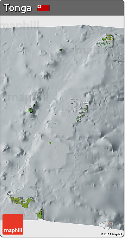 Satellite 3D Map of Tonga, lighten, semi-desaturated