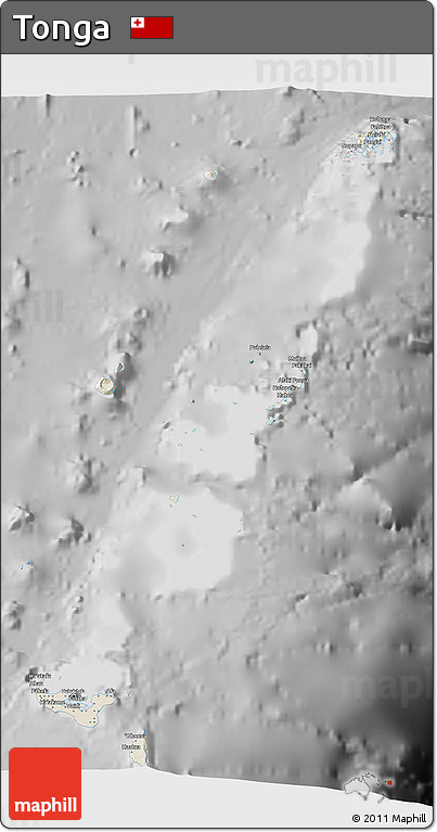 Shaded Relief 3D Map of Tonga, desaturated
