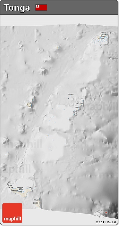 Shaded Relief 3D Map of Tonga, lighten, desaturated