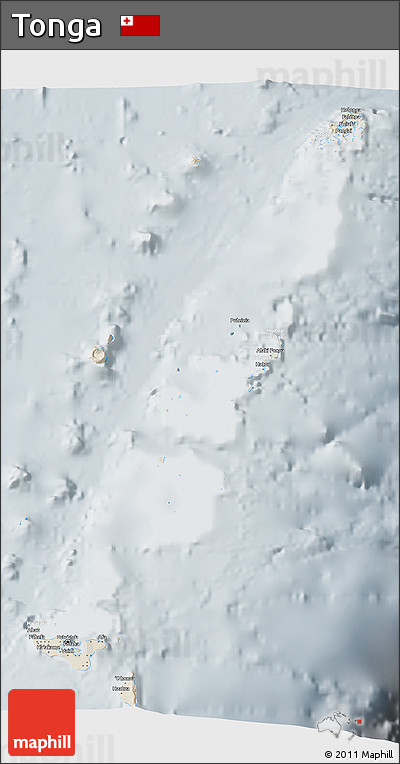 Shaded Relief 3D Map of Tonga, lighten, semi-desaturated