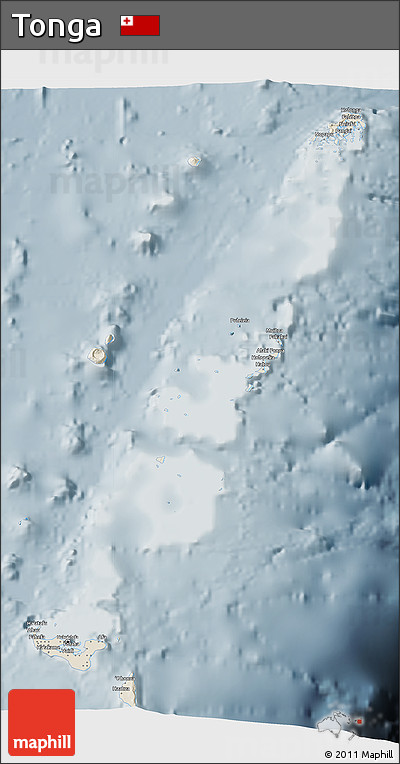 Shaded Relief 3D Map of Tonga, semi-desaturated