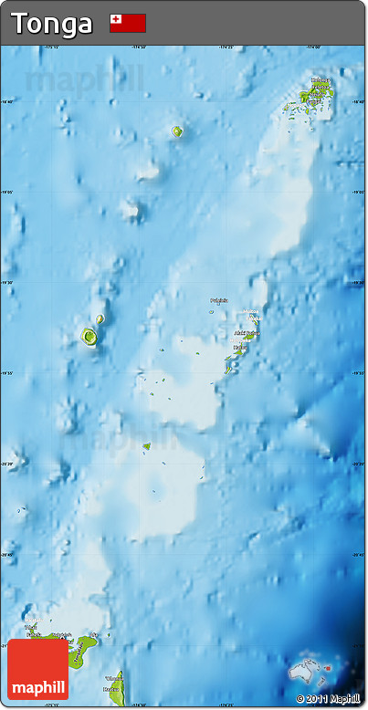Physical Map of Tonga, lighten, desaturated, land only