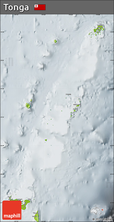 Physical Map of Tonga, lighten, semi-desaturated