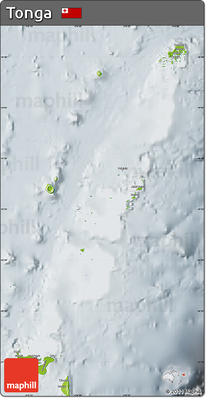 Physical Map of Tonga, lighten, semi-desaturated