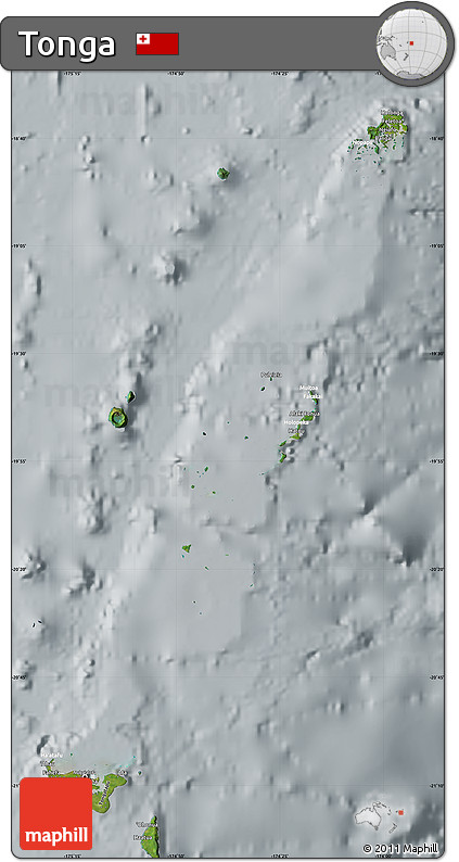 Satellite Map of Tonga, lighten, semi-desaturated