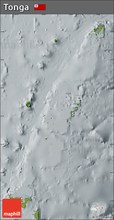 Satellite Map of Tonga, lighten, semi-desaturated