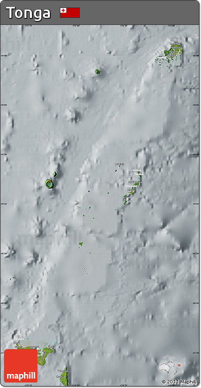 Satellite Map of Tonga, lighten, semi-desaturated