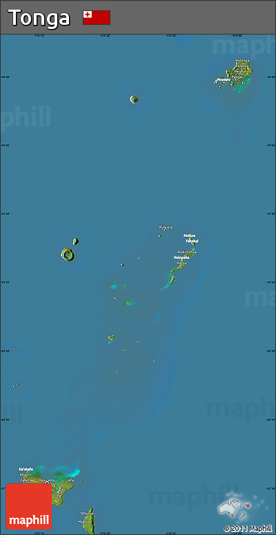 Satellite Map of Tonga, lighten, semi-desaturated, land only
