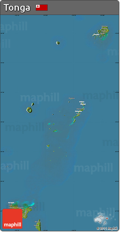 Satellite Map of Tonga, lighten, semi-desaturated, land only