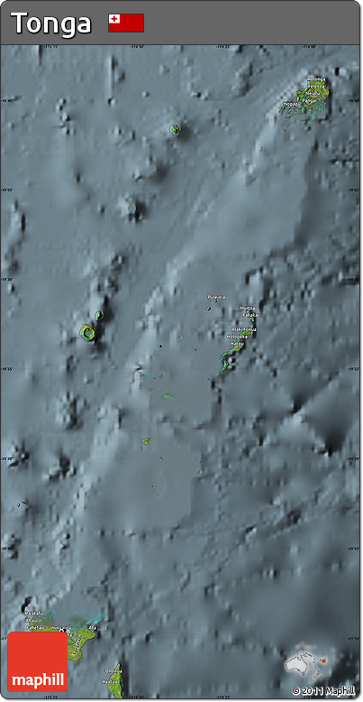 Satellite Map of Tonga, semi-desaturated