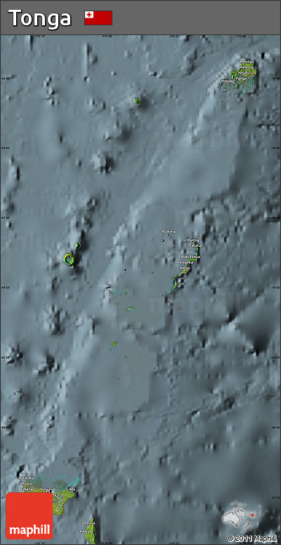 Satellite Map of Tonga, semi-desaturated