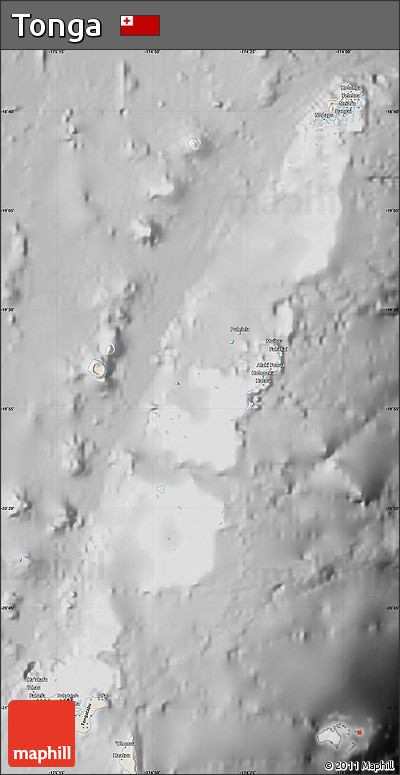 Shaded Relief Map of Tonga, desaturated