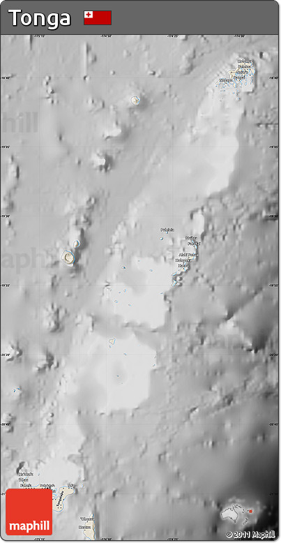 Shaded Relief Map of Tonga, desaturated