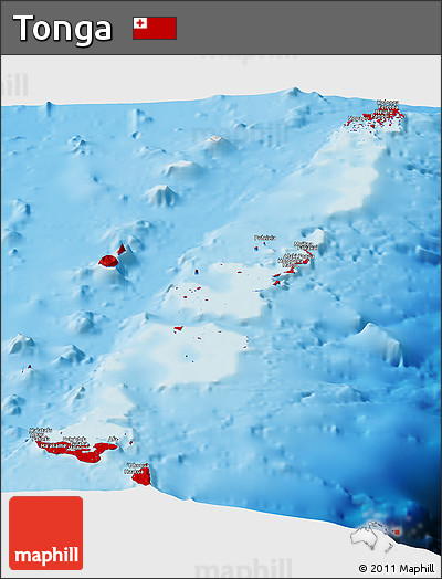 Flag Panoramic Map of Tonga, shaded relief outside, flag rotated