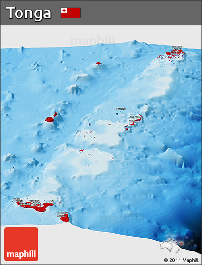 Flag Panoramic Map of Tonga, single color outside, bathymetry sea, shaded relief sea, flag centered
